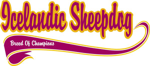 Purple Turtle Gifts - Breed of Champion Tee Shirt - Icelandic Sheepdog