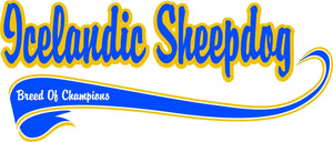 Purple Turtle Gifts - Breed of Champion (Blue) Tee Shirt - Icelandic Sheepdog
