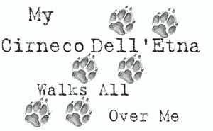 Purple Turtle Gifts - My Cirneco DellEtna Walks All Over Me T-Shirt