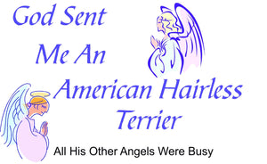 Purple Turtle Gifts - God Sent Me an American Hairless Terrier T-shirt