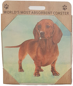 E&S Imports Ceramic Pet Coasters - Dachshund (Long Haired) (250-13a)