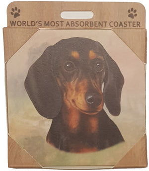 E&S Imports Ceramic Pet Coasters - Dachshund Black (250-14a)