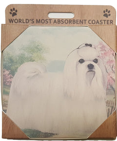 E&S Imports Ceramic Pet Coasters - Maltese (250-24)
