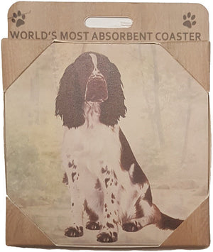&S Imports Ceramic Pet Coasters - Springer Spaniel (250-42)