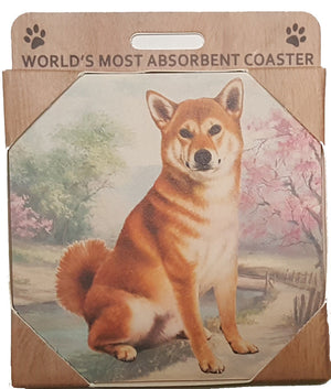 E&S Imports Ceramic Pet Coasters - Shiba Inu (250-68)
