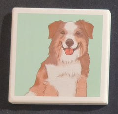 Purple Turtle Gifts Portrait Collection Absorbent Coaster-Australian Shepherd