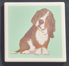 Purple Turtle Gifts Portrait Collection Absorbent Coaster-Basset Hound Black