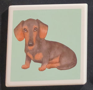Purple Turtle Gifts Portrait Collection Absorbent Coaster-Dachshund Black