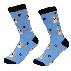 E&S Imports Pet Lover Unisex Socks - Cavalier King Charles Spaniel (800-18)