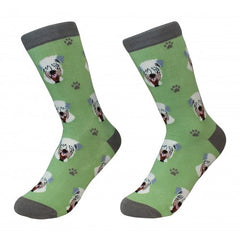 E&S Imports Pet Lover Unisex Socks - Soft Coated Wheaten Terrier (800-41)