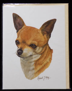 Blank Card with Envelope by Robert May - Chihuahua