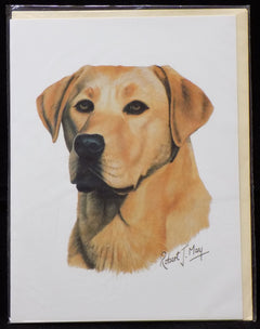 Blank Card with Envelope by Robert May - Yellow Labrador Retriever (Lab) (RGC24B)