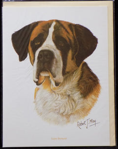 Blank Card with Envelope by Robert May - Saint Bernard (RGC31)