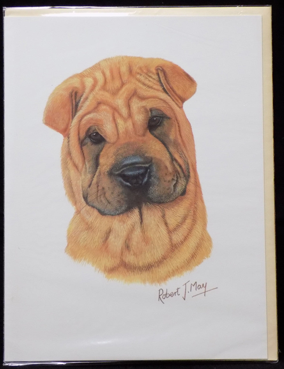 Blank Card with Envelope by Robert May - Chinese Shar Pei (RGC40A)