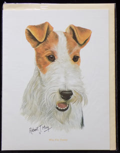 Blank Card with Envelope by Robert May - Wirehaired Fox Terrier (RGC59)