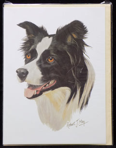 Blank Card with Envelope by Robert May - Border Collie (RGC62)