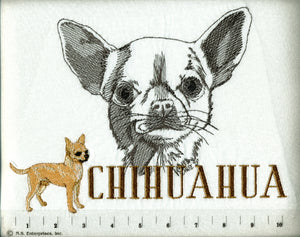 Gr8 Dogs Brand Chihuahua Adult T-Shirt