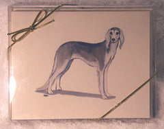 Fur Children Blank Note Cards - Saluki (NC0405118)