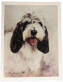 Ruth Maystead Note Cards - Petite Basset Griffon Vendeen (PBGV) Head Shot (PVG1 NC)