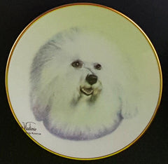 Classic Collection 4in Color Mini Porcelain Plate-Bichon Frise (316 Bichon)