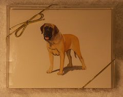 Fur Children Blank Note Cards - Mastiff (NC040595)