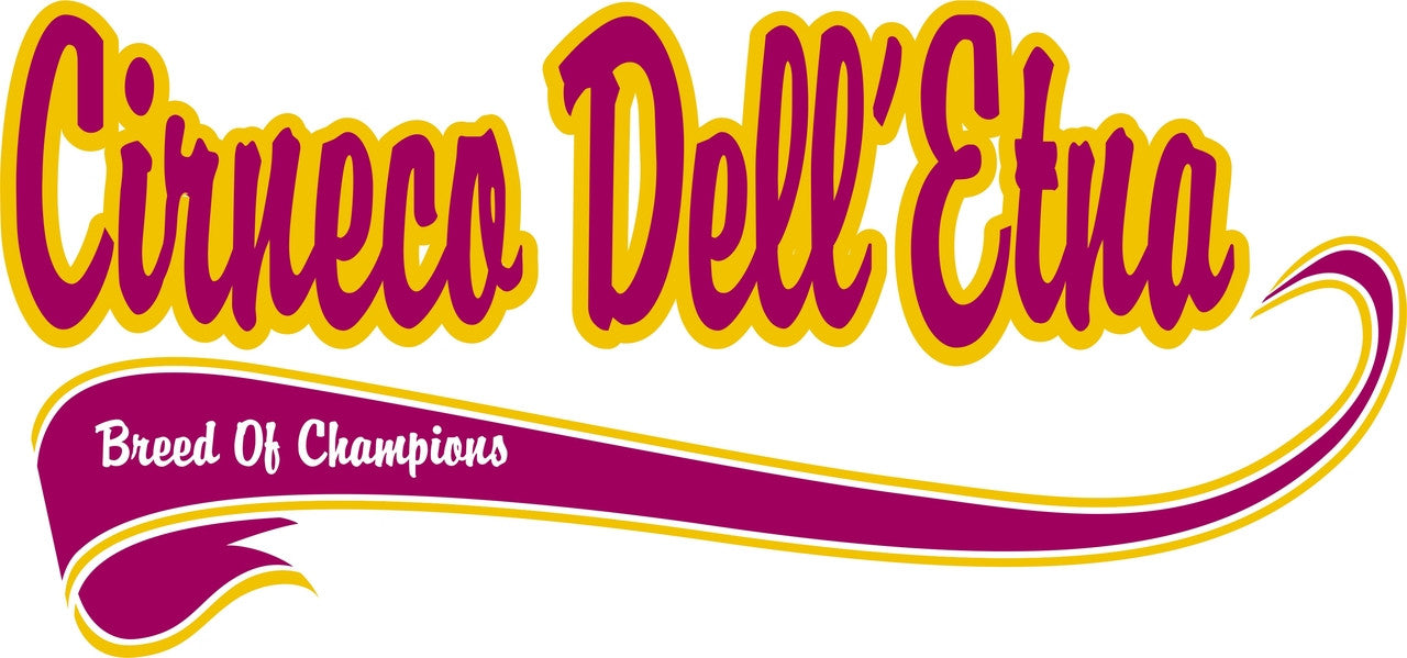 Breed of Champion Tee Shirt - Cirneco Dell'Etna