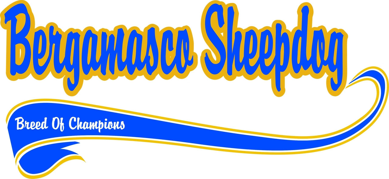 Purple Turtle Gifts - Breed of Champion (Blue) Tee Shirt - Bergamasco Sheepdog