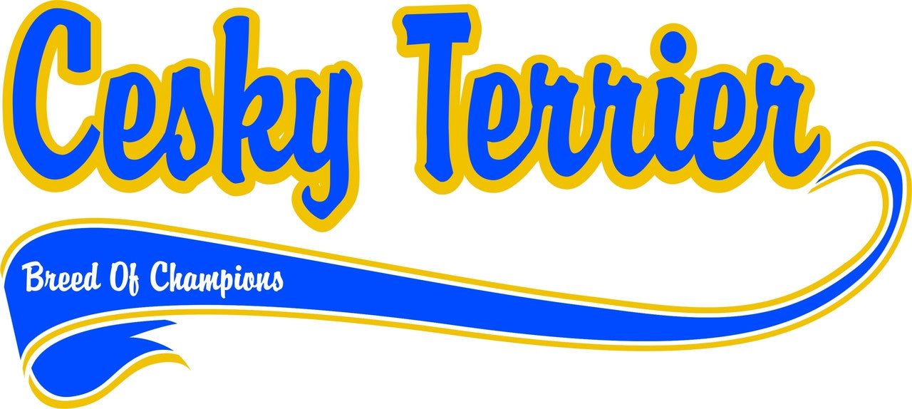 Purple Turtle Gifts - Breed of Champion (Blue) Tee Shirt - Cesky Terrier