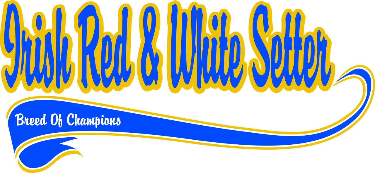 Purple Turtle Gifts - Breed of Champion (Blue) Tee Shirt - Irish Red & White Setter