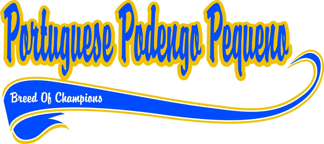 Purple Turtle Gifts - Breed of Champion (Blue) Tee Shirt - Portuguese Podengo Pequeno