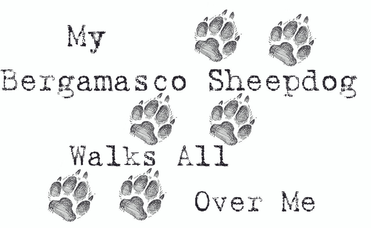 Purple Turtle Gifts - My Bergamasco Sheepdog Walks All Over Me T-Shirt