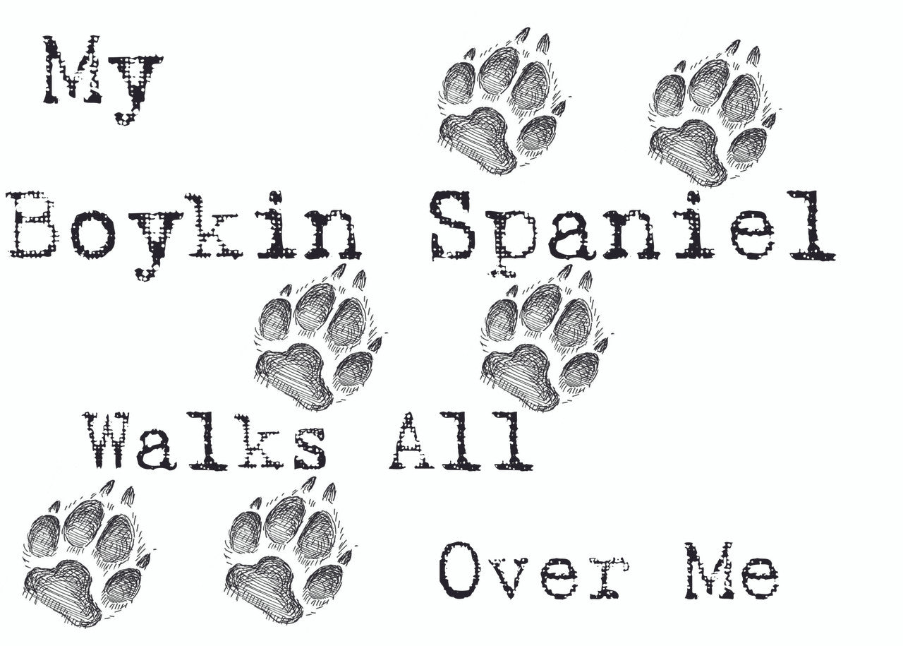 Purple Turtle Gifts - My Boykin Spaniel Walks All Over Me T-Shirt