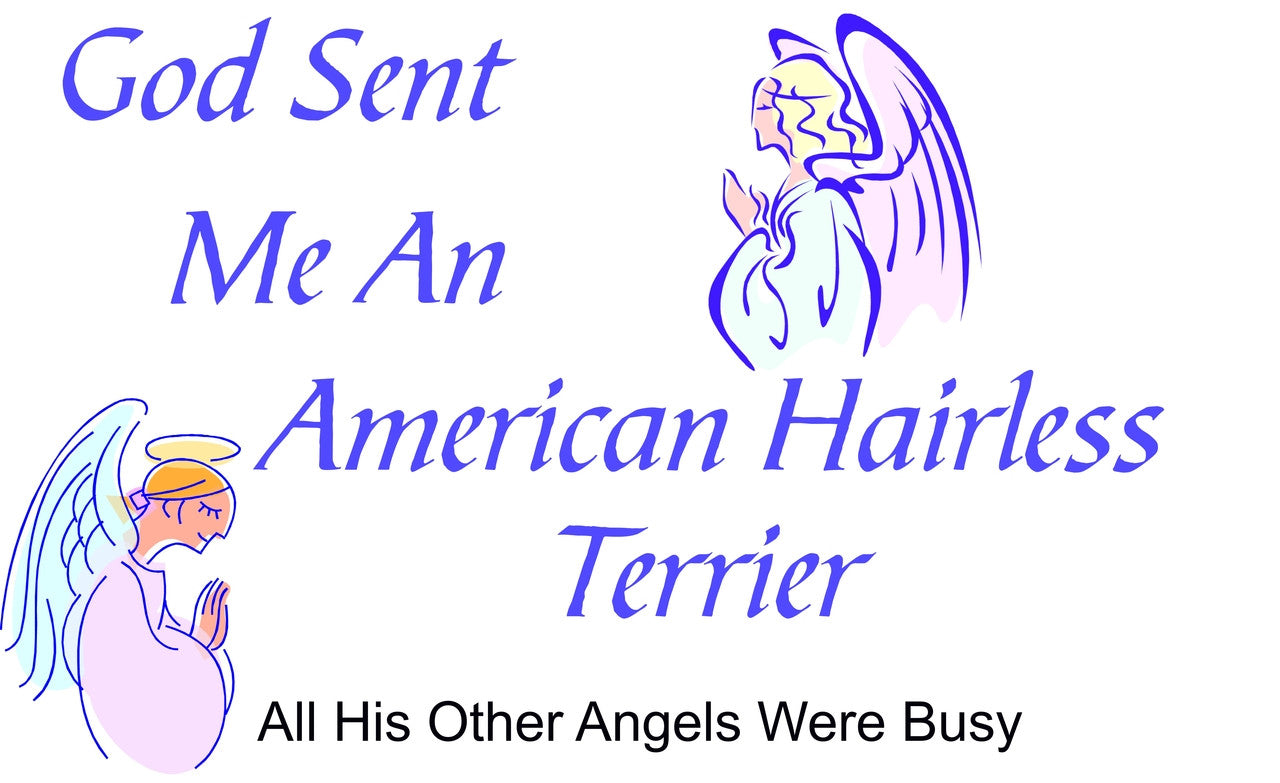 Purple Turtle Gifts - God Sent Me an American Hairless Terrier T-shirt