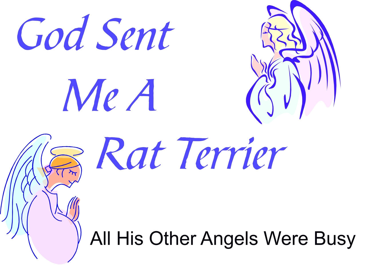 Purple Turtle Gifts - God Sent Me a Rat Terrier T-shirt