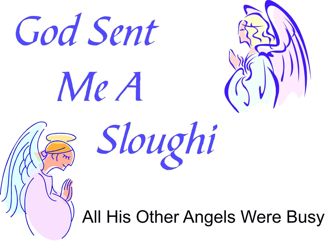 Purple Turtle Gifts - God Sent Me a Sloughi T-shirt