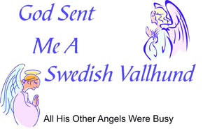 Purple Turtle Gifts - God Sent Me a Swedish Vallhund T-shirt