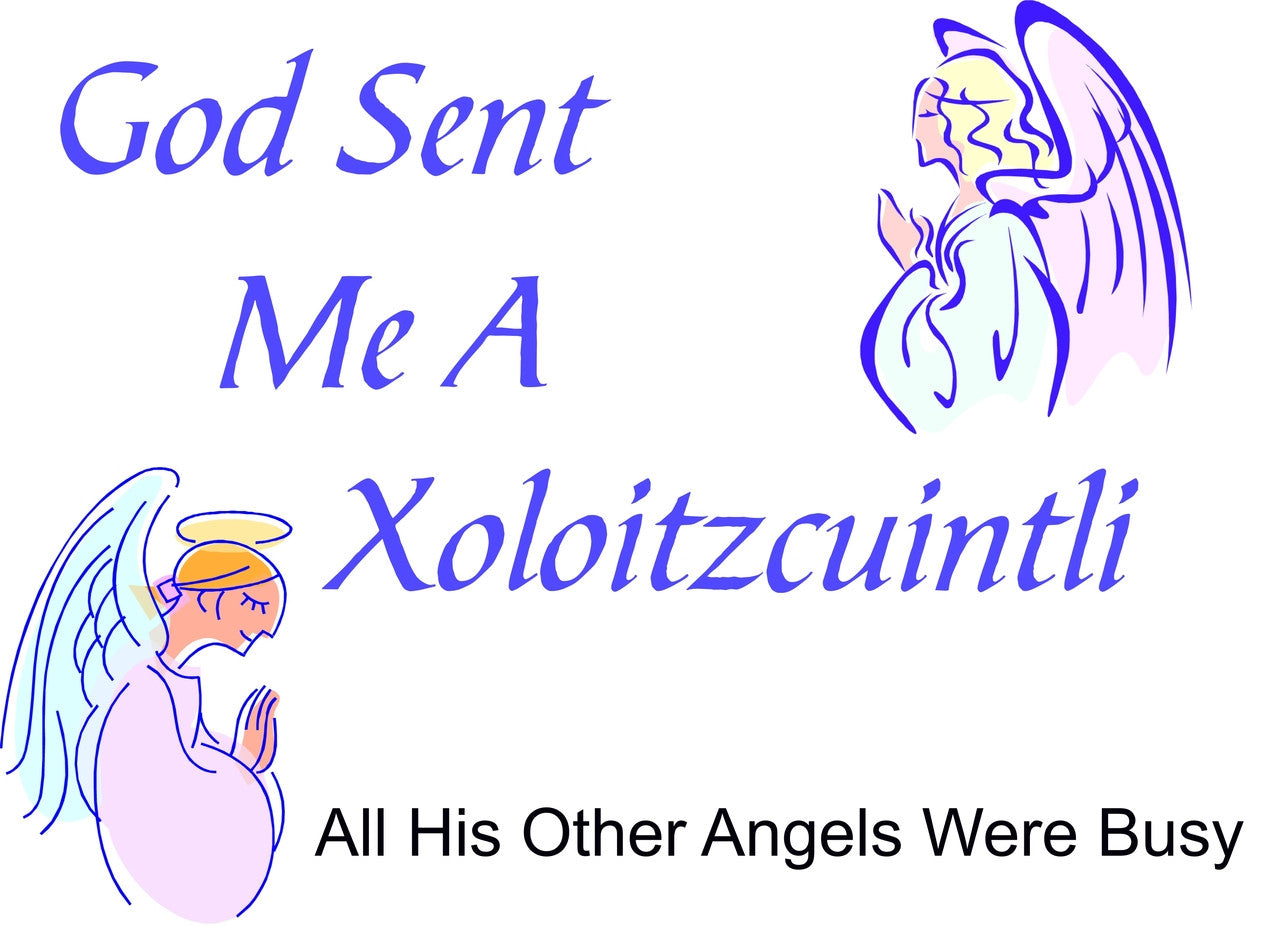 Purple Turtle Gifts - God Sent Me a Xoloitzcuintli T-shirt