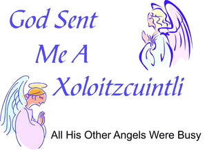 Purple Turtle Gifts - God Sent Me a Xoloitzcuintli T-shirt