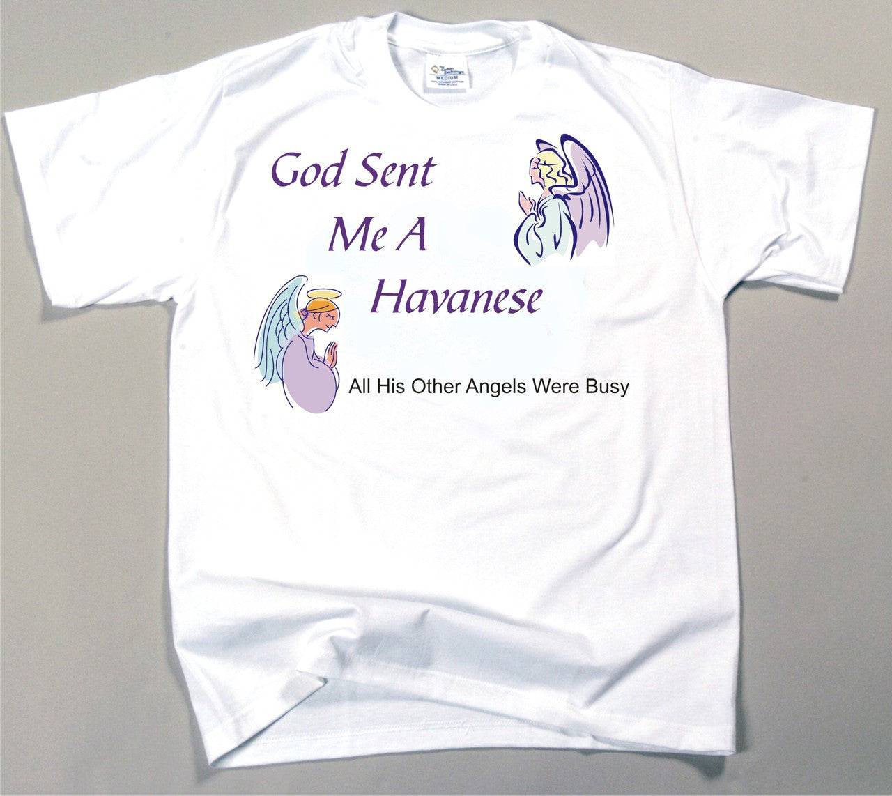 God Sent Me A Havanese T-Shirt (170-0005-258)