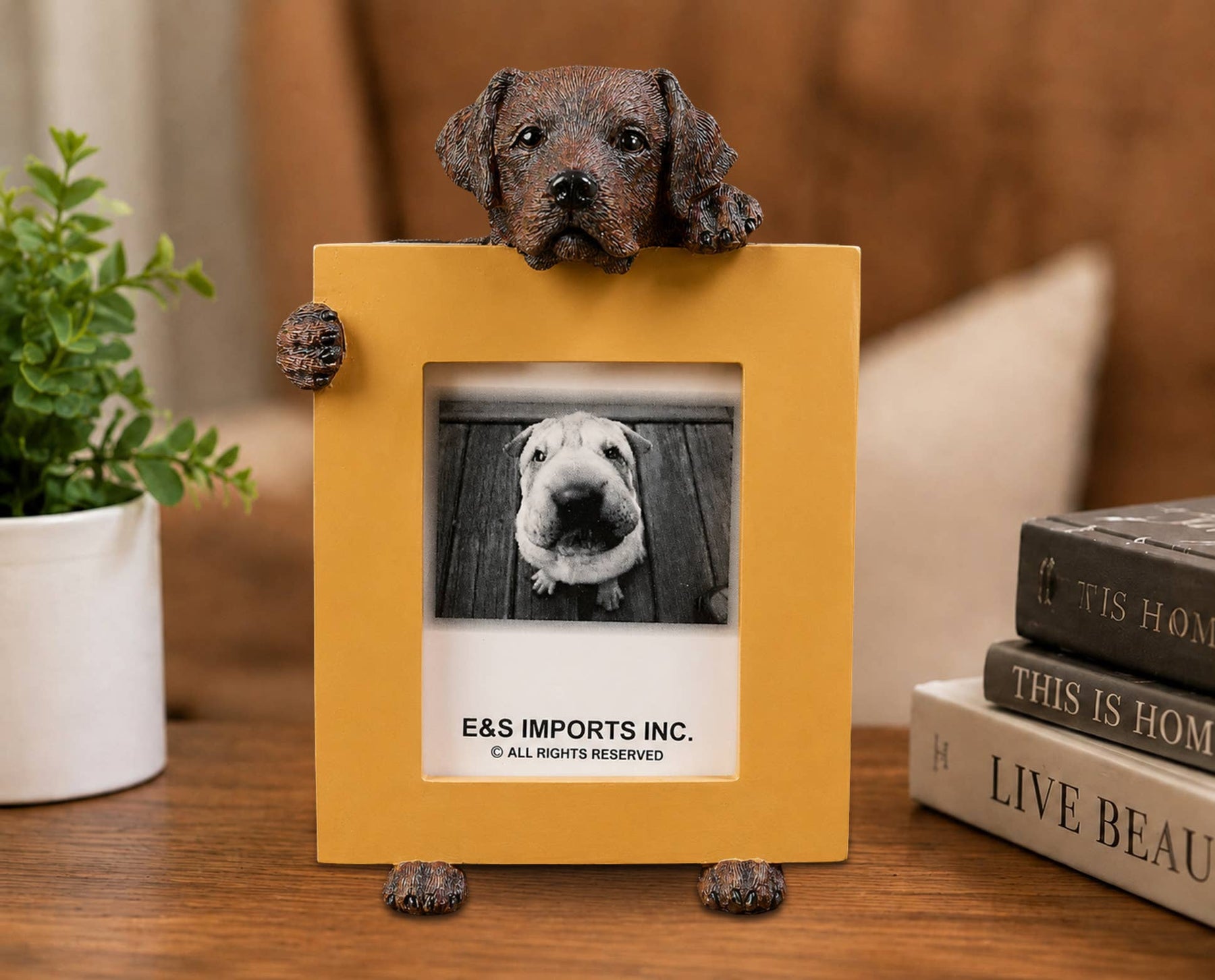 Hand Painted Labrador Chocolate (2 1/2x3 1/2) Small Photo Picture Ceramic Frame