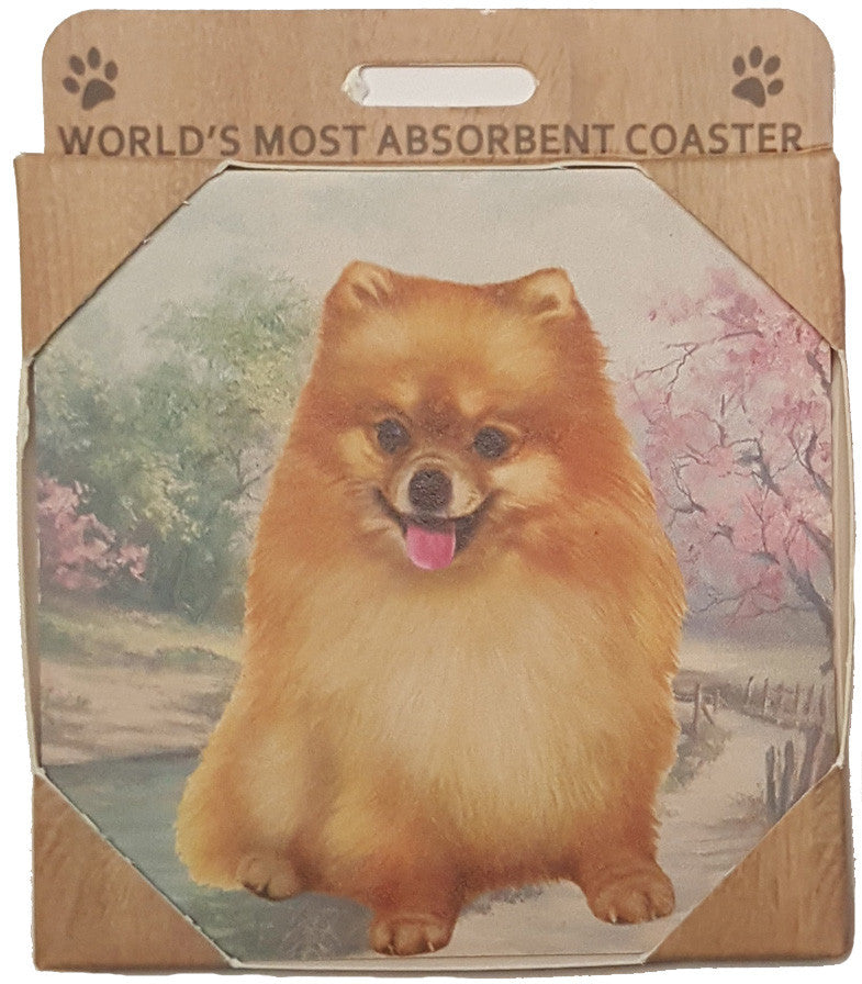 &S Imports Ceramic Pet Coasters - Pomeranian (250-27)