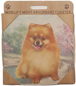 &S Imports Ceramic Pet Coasters - Pomeranian (250-27)