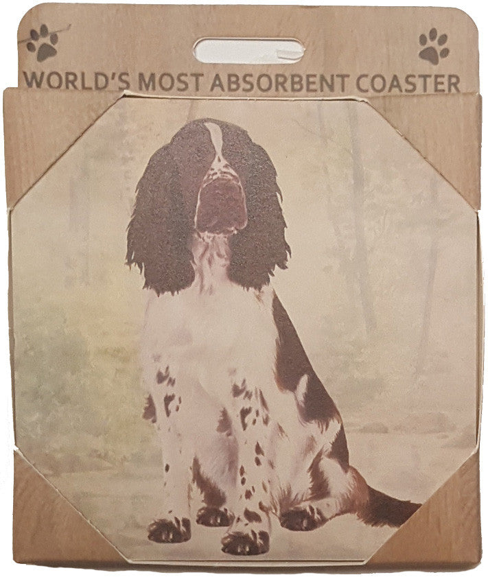 &S Imports Ceramic Pet Coasters - Springer Spaniel (250-42)