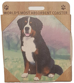 E&S Imports Ceramic Pet Coasters - Bernese Mountain Dog (250-52)