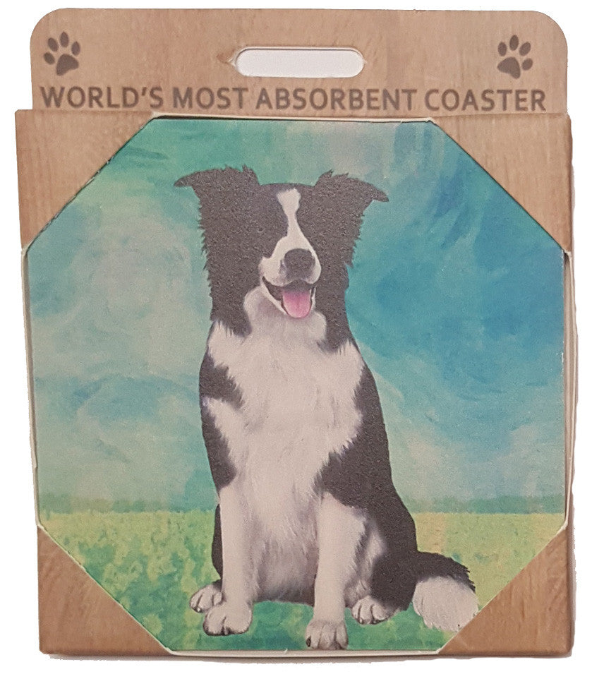 E&S Imports Ceramic Coasters - Border Collie (250-5)