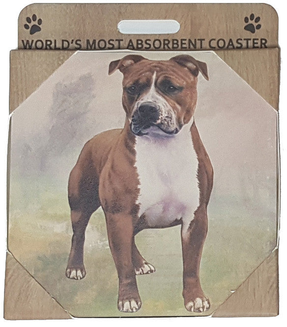 E&S Imports Ceramic Pet Coasters - Pit Bull (250-73)