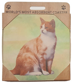 E&S Imports Ceramic Pet Coasters - Orange & White (251-10)