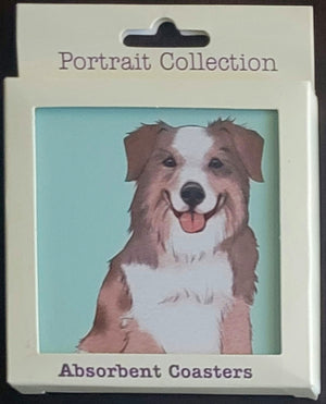 purple-turtle-gifts-portrait-collection-absorbent-coaster-australian-shepherd