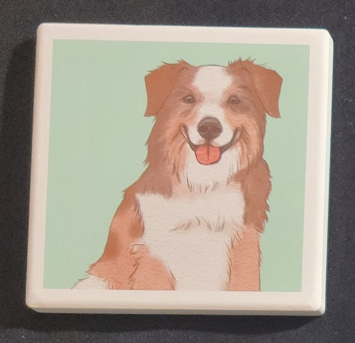 Purple Turtle Gifts Portrait Collection Absorbent Coaster-Australian Shepherd