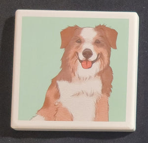 Purple Turtle Gifts Portrait Collection Absorbent Coaster-Australian Shepherd
